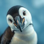 interesting facts about penguins